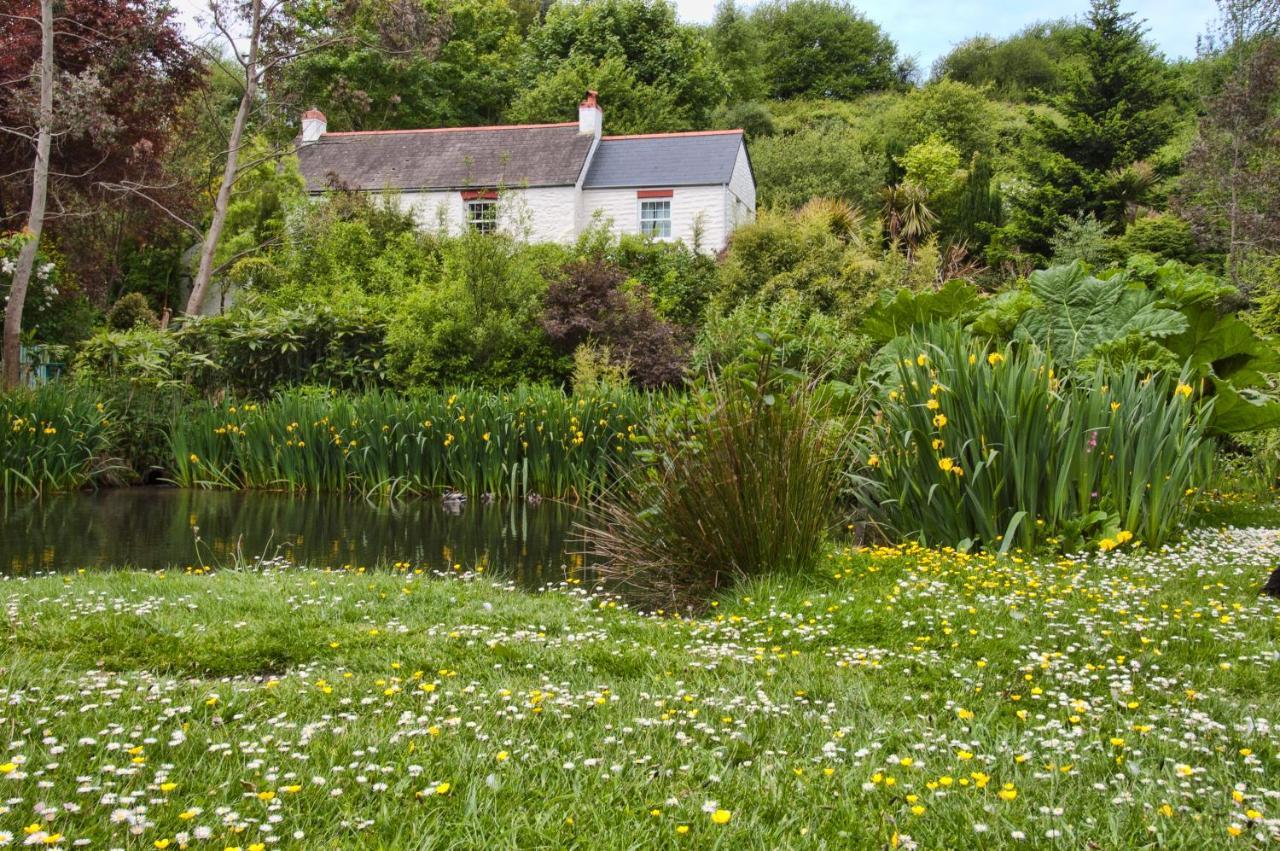 Holiday Cottage Falmouth Penryn Kültér fotó